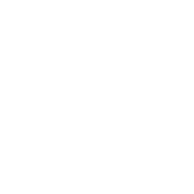 Icono