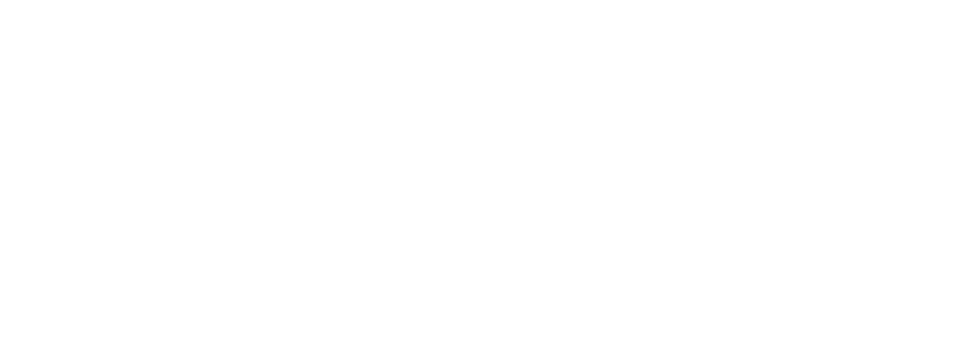 Blue Leaders